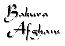 Bakura Afghans