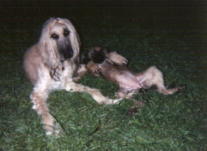 Stevie with baby Sirena