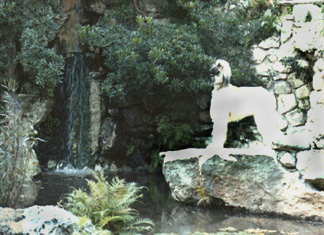 Tali at Zilker Water Gardens.